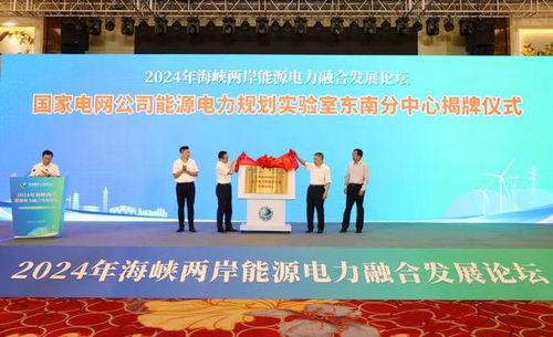 共建新型電力系統 新材料技術推廣推動能源轉型發展